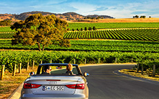 芭萝莎自驾（Kellermeister Wines），芭萝莎（Barossa）
