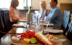大龙虾（Lobster），石灰岩海岸（Limestone Coast）