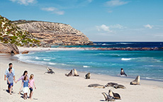 海豹湾（Seal Bay），袋鼠岛（Kangaroo Island）