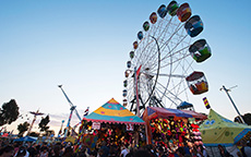 皇家农业展（Royal Adelaide Show )