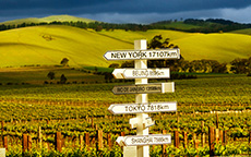 杰卡斯访客中心（Jacob's Creek Visitor Centre）, 芭萝莎（Barossa)
