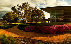 杰卡斯访客中心（Jacob's Creek Visitor Centre）， 芭萝莎（Barossa)
