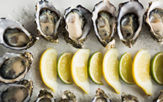科芬湾生蚝（Coffin Bay Oysters）, 林肯港（Port Lincoln）