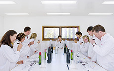 亲调葡萄酒之旅（Make Your Own Blend），芭萝莎奔富（Penfolds Barossa）