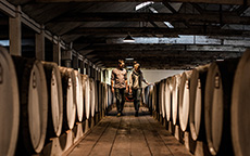沙普酒庄（Seppeltsfield Winery）, 芭萝莎（Barossa）