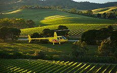 直升飞机游览（Helicopter Experience），芭萝莎（Barossa）